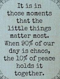 Little things make big things happen. Homeschooling Quotes Together Quotes Chaos Quotes Inspirational Quotes