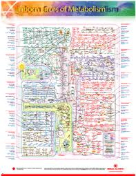 Iubmb Nicholson Inborn Errors Of Metabolism