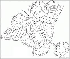 Rainbow butterfly mandala pattern mandala free printable mandala coloring pages flower mandala black. Butterfly Mandala 6 Coloring Pages Mandala Coloring Pages Coloring Pages For Kids And Adults