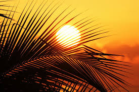 Image result for sun