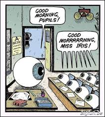 Good Morning Pupils Eye Jokes Optometry Humor Eyes Meme