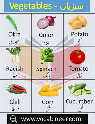 Vegetables Name In Urdu And English With Pictures Vegetables Names With Pictures Vegetables Fruits Name In English