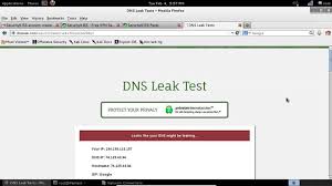 How Can I Prevent A Dns Leak Leaks Dns Prevention