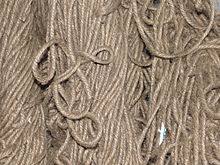 Jute Wikipedia Borrowed from bengali ঝুট (jhuṭ), from sanskrit जूट (juṭa, twisted hair). jute wikipedia