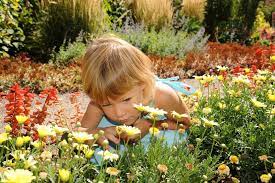 Becoming a parent enters you into a completely new and sometimes overwhelming world. The Pros And Cons Of Free Range Parenting