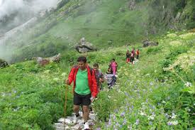 Check spelling or type a new query. How To Reach Valley Of Flowers Valley Of Flowers