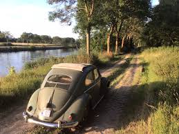 Image result for Pastel Green 1953 Beetle