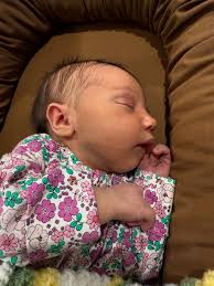 Baby Girl Kendo due June 2025!! 🩷🩷🩷 @cassielbkendrick