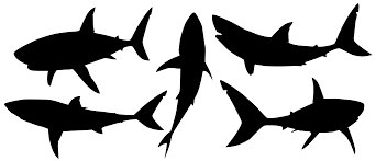 Download Svg Shark Jaws Free Svg Image Icon Svg Silh