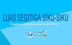We did not find results for: Luas Segitiga Siku Siku Pengertian Sifat Rumus Dan Contoh Soal