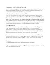 curriculum vitae and essay prompts