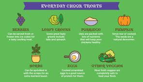 what do chickens eat a chicken treat chart