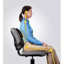 pin on top 10 best lumbar support pillows in 2017 reviews
