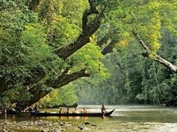 Borneo rainforest lodge (brl), lembah danum, sabah. 10 Resort Hutan Hujan Tropika Khazanah Negara Wajib Pergi