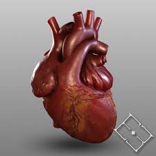 3d Human Heart Human Heart By Hobstob Human Heart Heart Art 3d Human