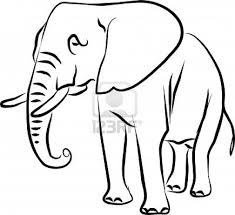 African Elephant Black And White Elephant Pictures African Elephant Drawing Big Eared Black And White Elephant Drawing African Elephant Drawings