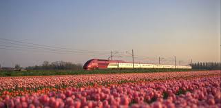 I have emailed thalys and submitted multiple forms and just got a response yesterday saying that i should have called them when it happened. Thalys Paris To Brussels Cheap Train Tickets Happyrail