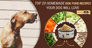 Top 20 Healthy Homemade Dog Food Recipes Your Dog Will Love The Dog Bakery