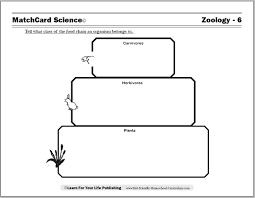Water carbon and nitrogen cycle worksheet color sheet answer key. Nitrogen Cycle Worksheet