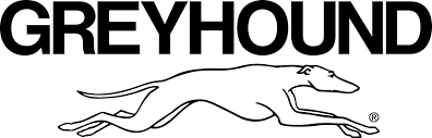 Dog owner reunited with lab more than a decade later Greyhound Bus Lines Logo Black And White Brands Logos