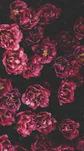 Amazing collection of aesthetic wallpapers, home screen and backgrounds to set the picture as a wallpaper on your phone in hd quality. 29 Romantic Roses Iphone X Wallpapers Preppy Wallpapers Floral Wallpaper Iphone Floral Print Wallpaper Wallpaper Iphone Roses