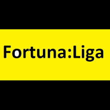 Fortuna 1 liga na transfermarkt z tabelą wynikami terminarzem wynikami za żywo wartościami rynkowymi klubami transferami statystykami Fortuna Liga 2019 2020
