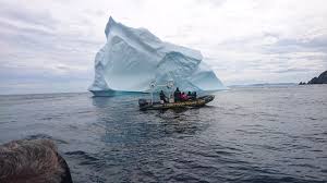 10 Facts About Icebergs In Newfoundland Trinity Eco Tours