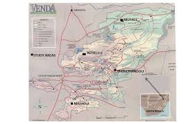 Image result for Hippocratea longipetiolata