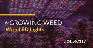 Grow light plant lamp indoor grow lighting fixture 2ft 4 ft led. Growing Weed With Led Lights Solaris Farms