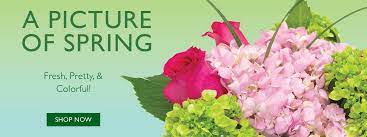 Local greenhouses, nurseries, garden centers, floral shops in lancaster county sell annuals, perennials, succulents, and landscapes plants. Royer S Flowers And Gifts Home Facebook