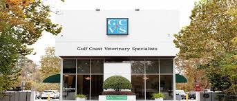St pete beach veterinary hospital. Vetcove Veterinary Supply Starts Here