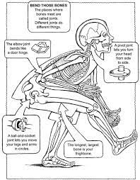 Free Coloring Page From Dover Publications With Images Human Body Unit Human Body Human Body Systems