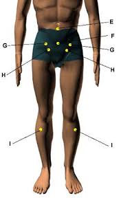 Acupressure Points For Relieving Impotency Sexual Problems