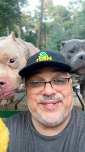 Are Eggs Good For Dogs? #qbnkennel #dognutrition #doghealthtips