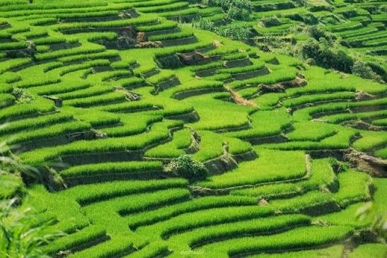 Chụp ảnh tại Yên Bái