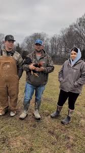 Natural rock game farm , #princessofgamefowl #kcranch #gallosdelmundo  #Kentucky #breeding