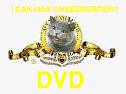 Image result for i can has cheezburger