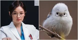 누군가는 태어나고 누군가는 삶을 끝내는, 인생의 축소판이라 불리는 병원에서 평범한 듯 특별한 하루하루를 살아가는 사람들의 이야기를 그린 드라마 슬기로운 의사생활 의 인물 소개 메뉴. ì†Œë¦„ ì „ë¯¸ë„ê°€ ìŠ¬ê¸°ë¡œìš´ ì˜ì‚¬ìƒí™œ ë‚˜ì˜¬ ìˆ˜ë°–ì— ì—†ì—ˆë˜ ì´ìœ  ìœ„í‚¤íŠ¸ë¦¬