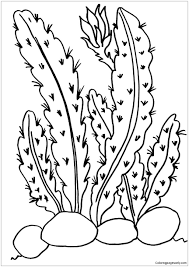 Good day people , our newly posted coloringsheet that you couldhave some fun with is cactus in the desert coloring pages, posted under cactuscategory. Desert Cactus 1 Coloring Pages Nature Seasons Coloring Pages Coloring Pages For Kids And Adults