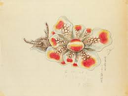 Play them right here on our blog or use the links to expand an individual puzzle. Art And Design Smithsonian Libraries Unbound