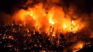 Fire at boat storage facility in west kelowna. Evacuation Order Wildfire Alert Issued Near West Kelowna B C Ctv News