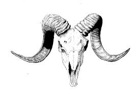 Ram Skull Drawing At Paintingvalley Com Explore Collection Of Ram Skull Drawing This rule is totally up to mod discretion. painting valley