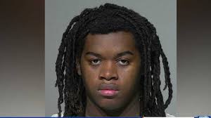 Member of 'Kia Boys' accused of pointing gun at police officer