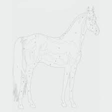 Check spelling or type a new query. Ausmalbilder Einhorner Pferde Ausmalbilder Kostenlos