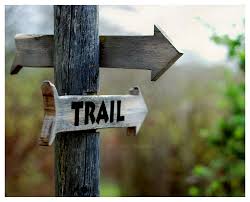 Rustic Wall Decor Wooden Hiking Trail Marker Photo Trail Etsy Outdoors Adventure Hiking Trails Outdoor