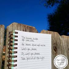 This Light Poetry Poems Words