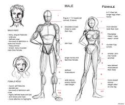 Proportion Guide By Alenalane On Deviantart Drawing Body Proportions Body Proportion Drawing Cartoon Body