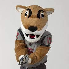 It S Worldcatday Here S To Our Favorite Feline Butchtcougar Wsu Gocougs
