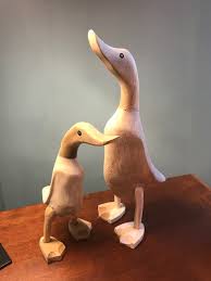 نتیجه جستجوی لغت [canard] در گوگل