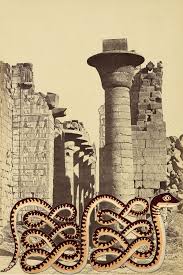 apep god of chaos ancient egypt gods egyptian deity ancient egyptian beliefs